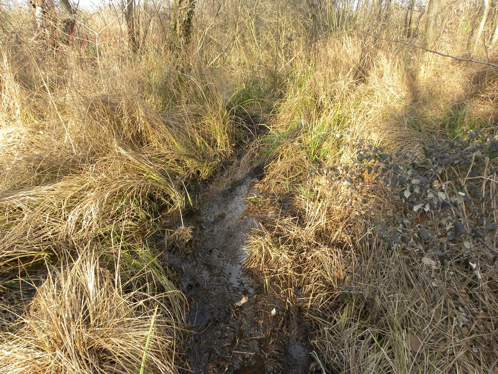 Di chi sar� mai questa cacchina qui?